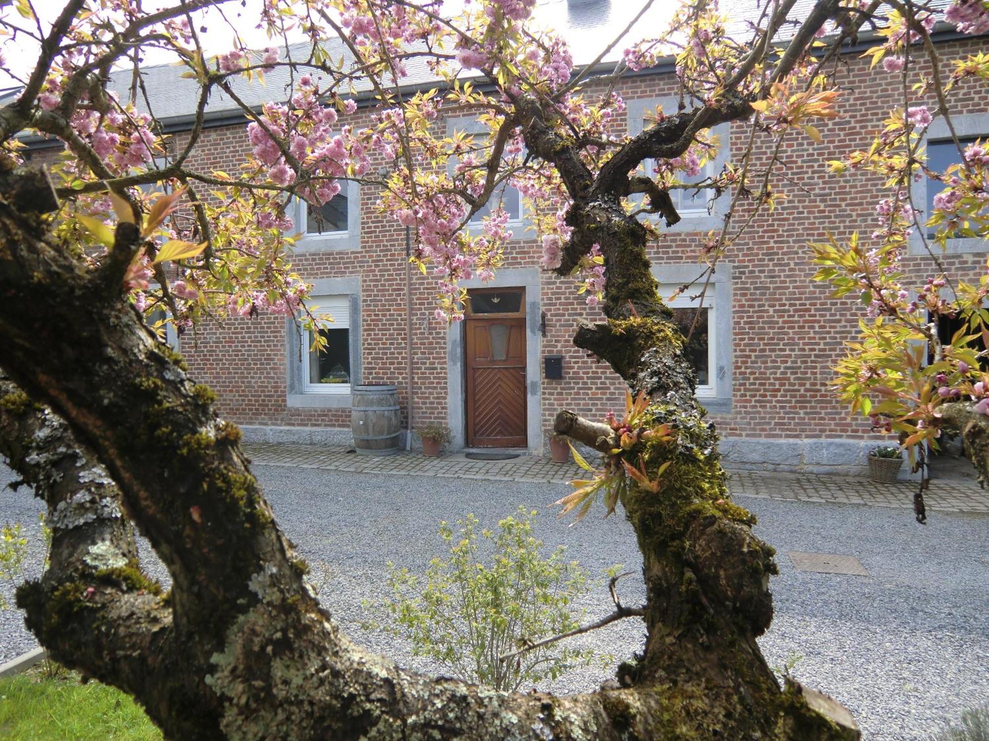 B&B Au Coeur De Villers Εξωτερικό φωτογραφία