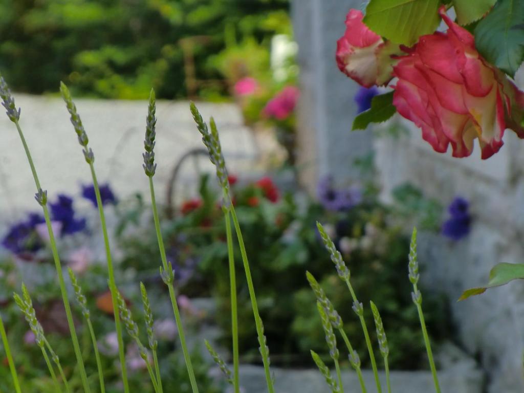 B&B Au Coeur De Villers Εξωτερικό φωτογραφία